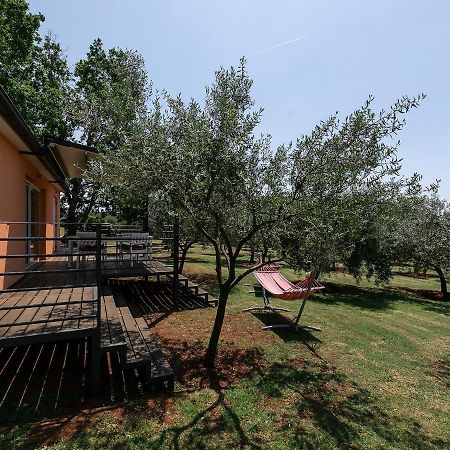 Sun Garden Premium Apartments Vrsar Kültér fotó